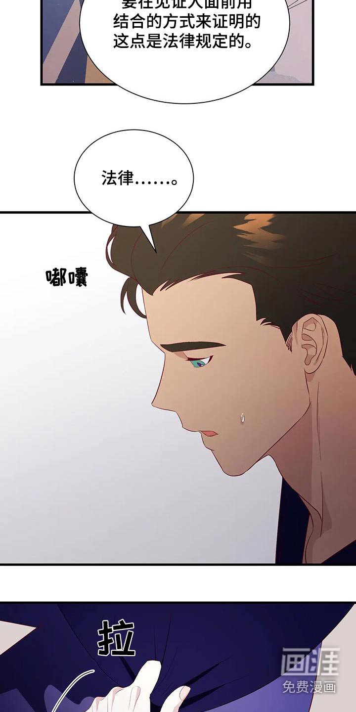 第133章：证明