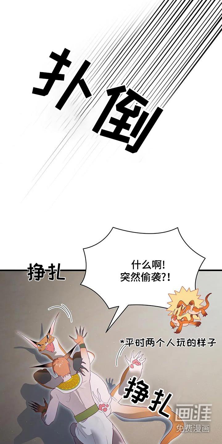 第137章：扑倒