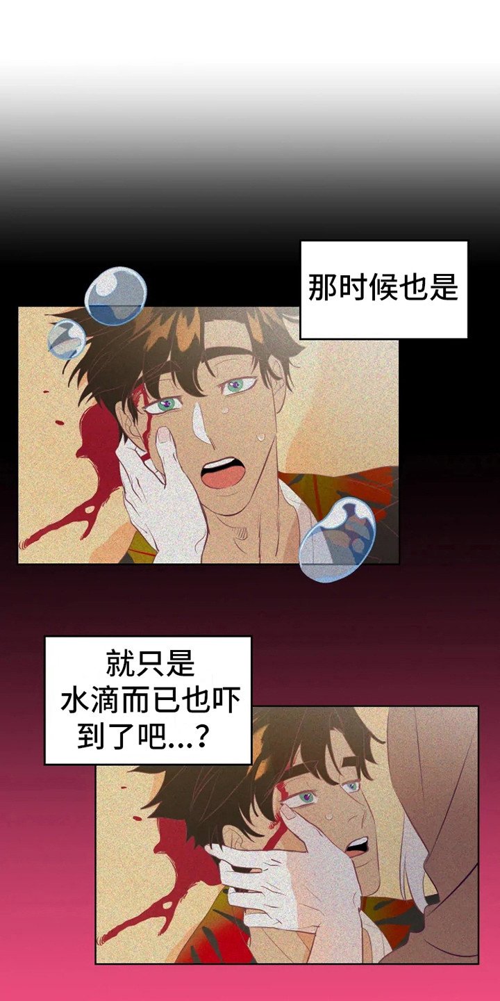 第14章：蝾和秃鹰