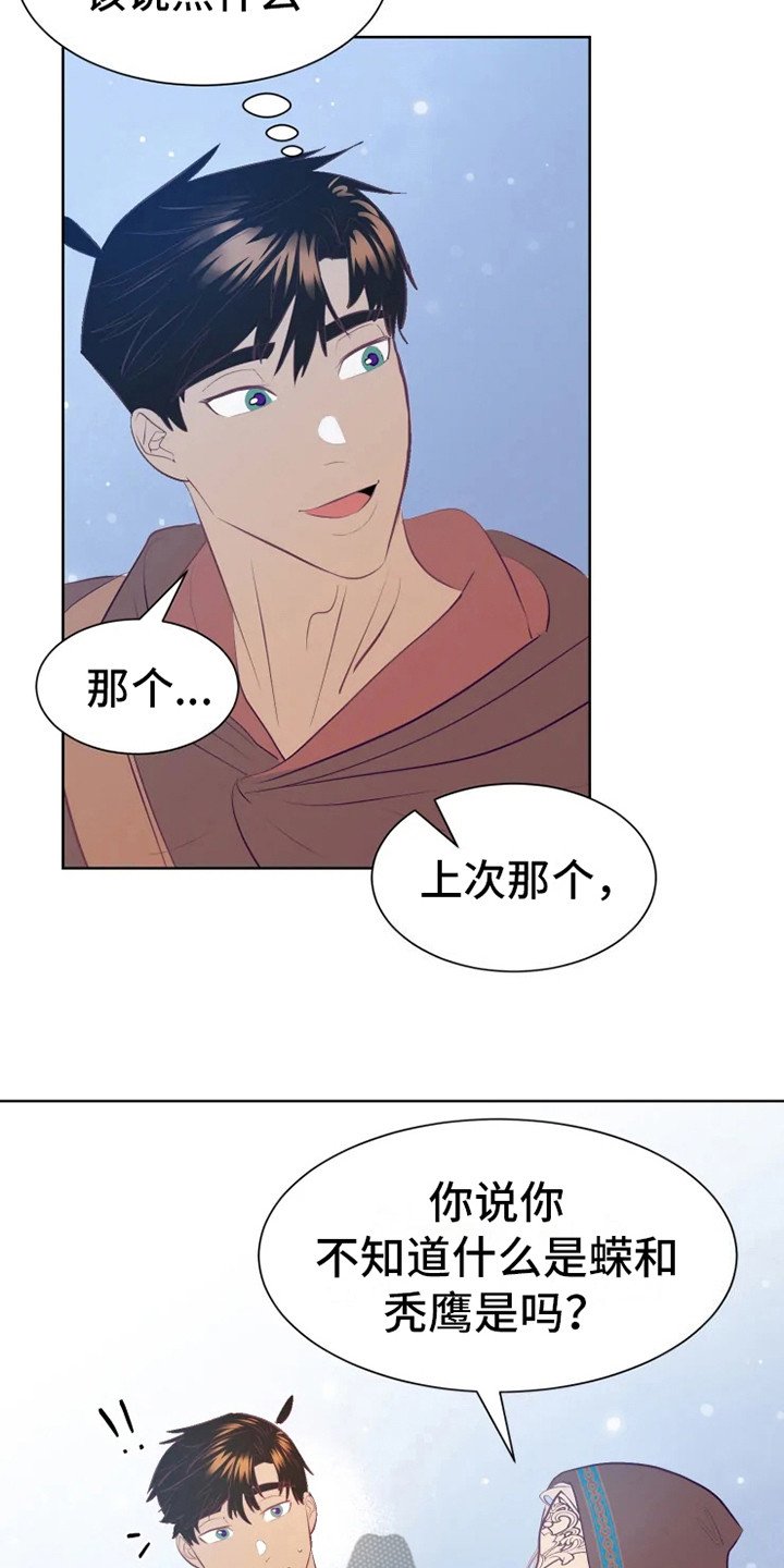 第14章：蝾和秃鹰