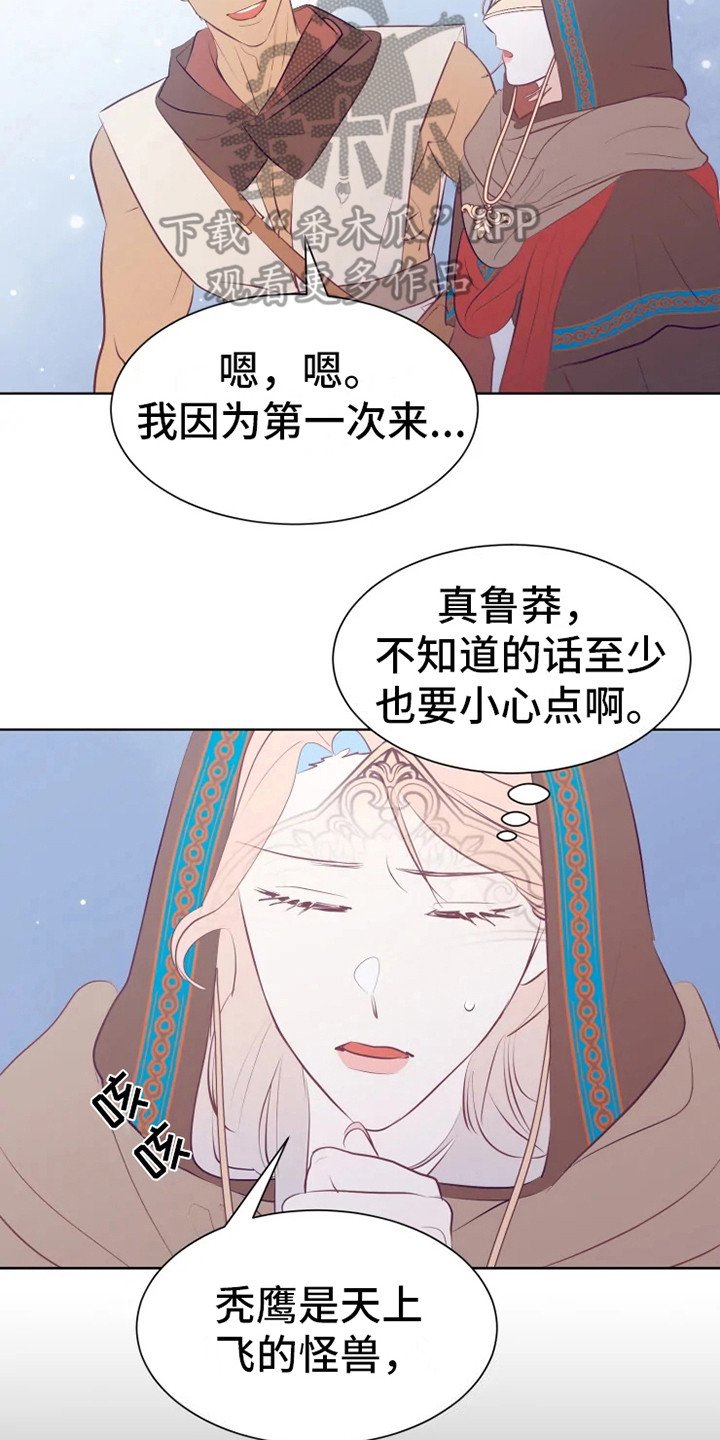 第14章：蝾和秃鹰
