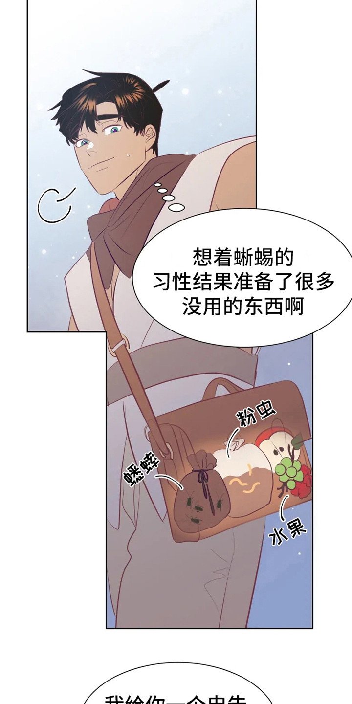 第14章：蝾和秃鹰