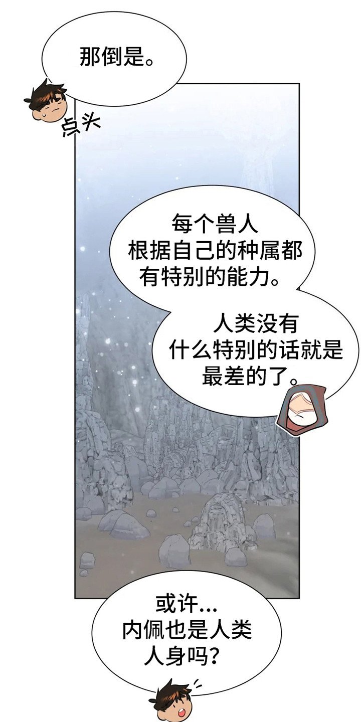 第14章：蝾和秃鹰