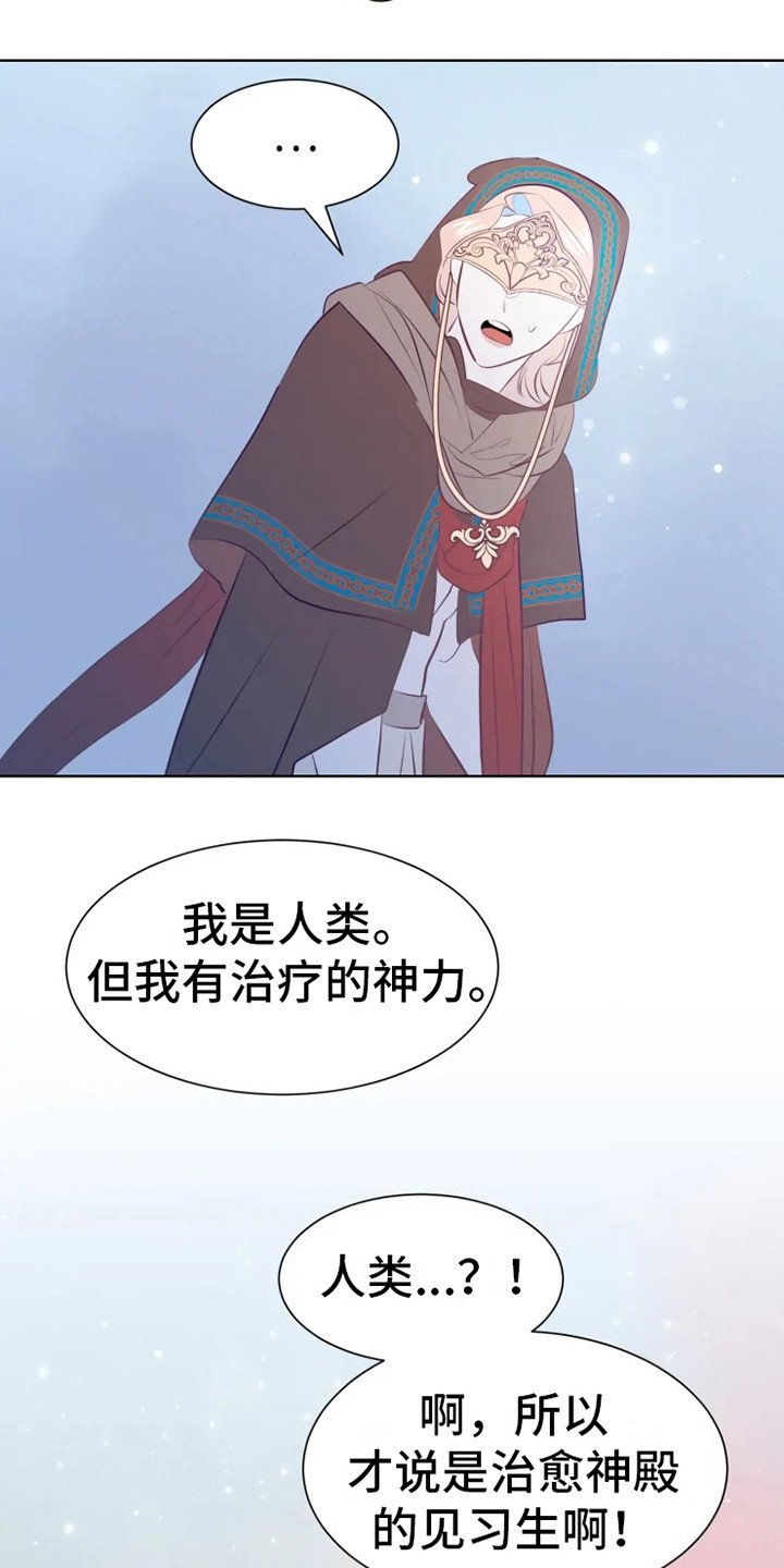 第14章：蝾和秃鹰
