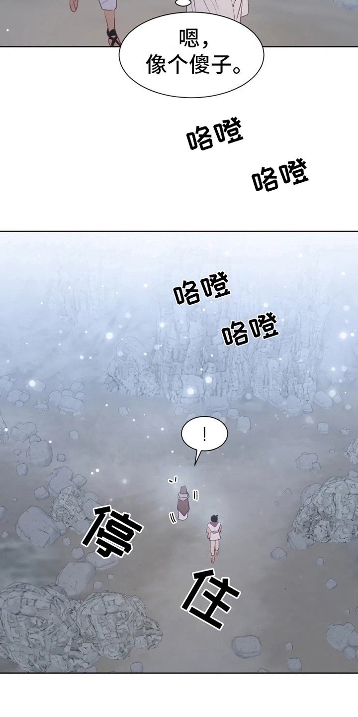 第14章：蝾和秃鹰