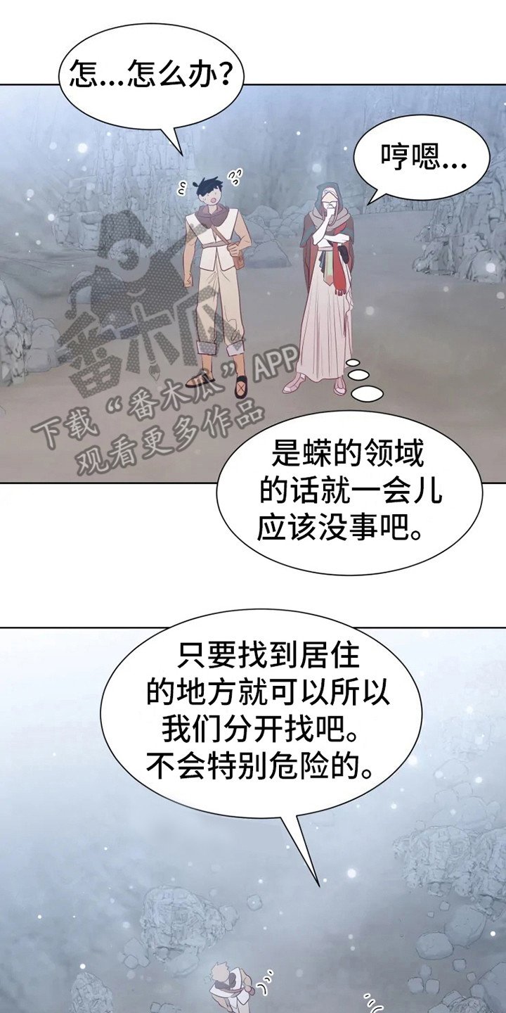 第14章：蝾和秃鹰