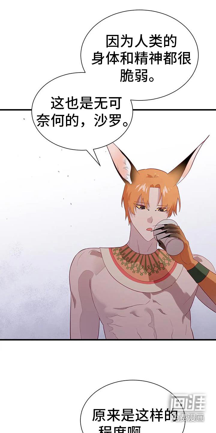 第143章：黄金鸟
