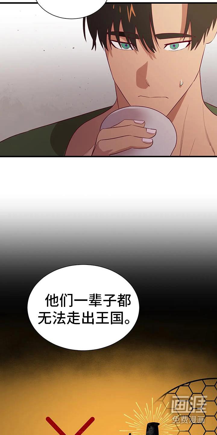 第143章：黄金鸟