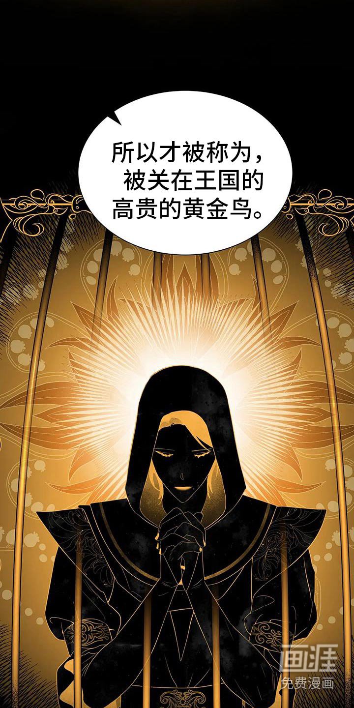 第143章：黄金鸟
