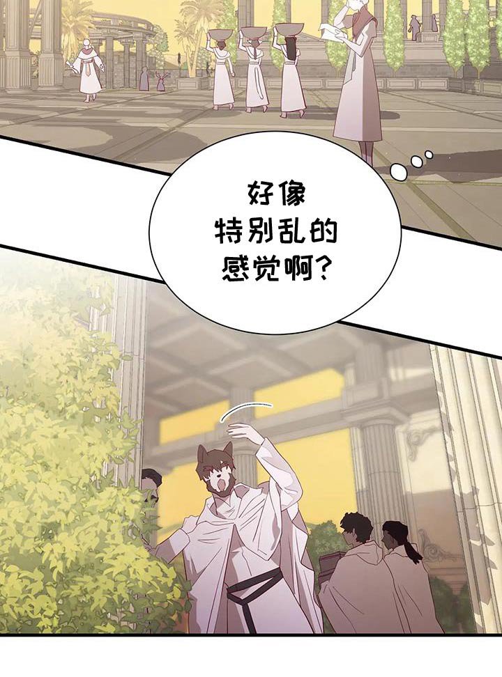 第144章：怎么回事