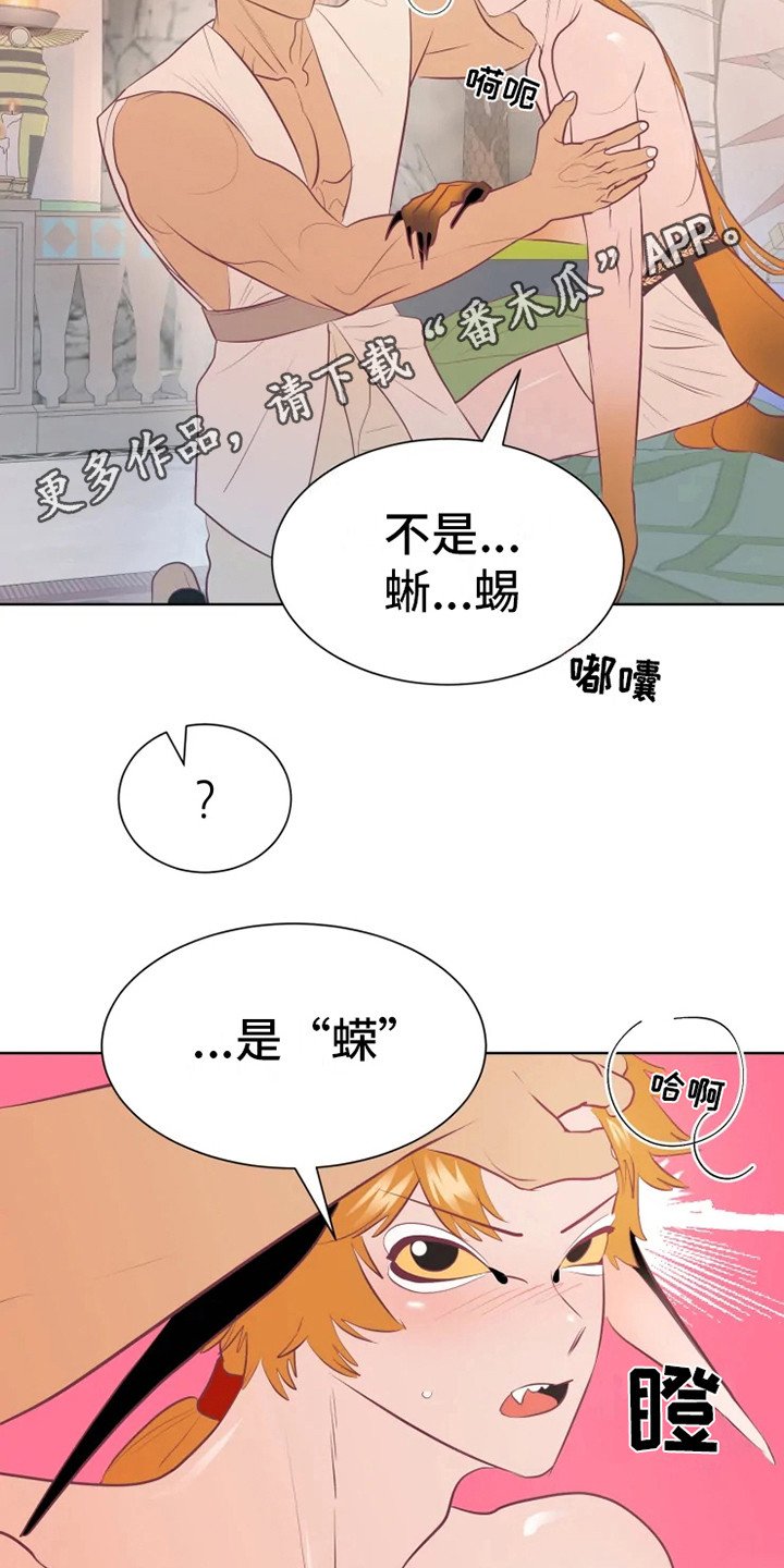 第16章：症状