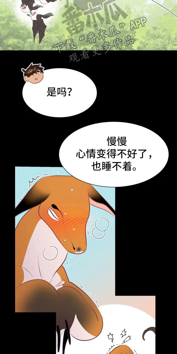 第16章：症状