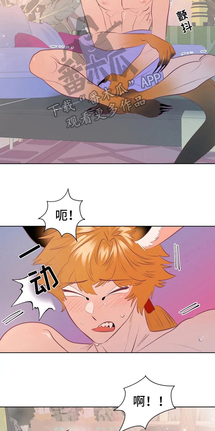 第16章：症状