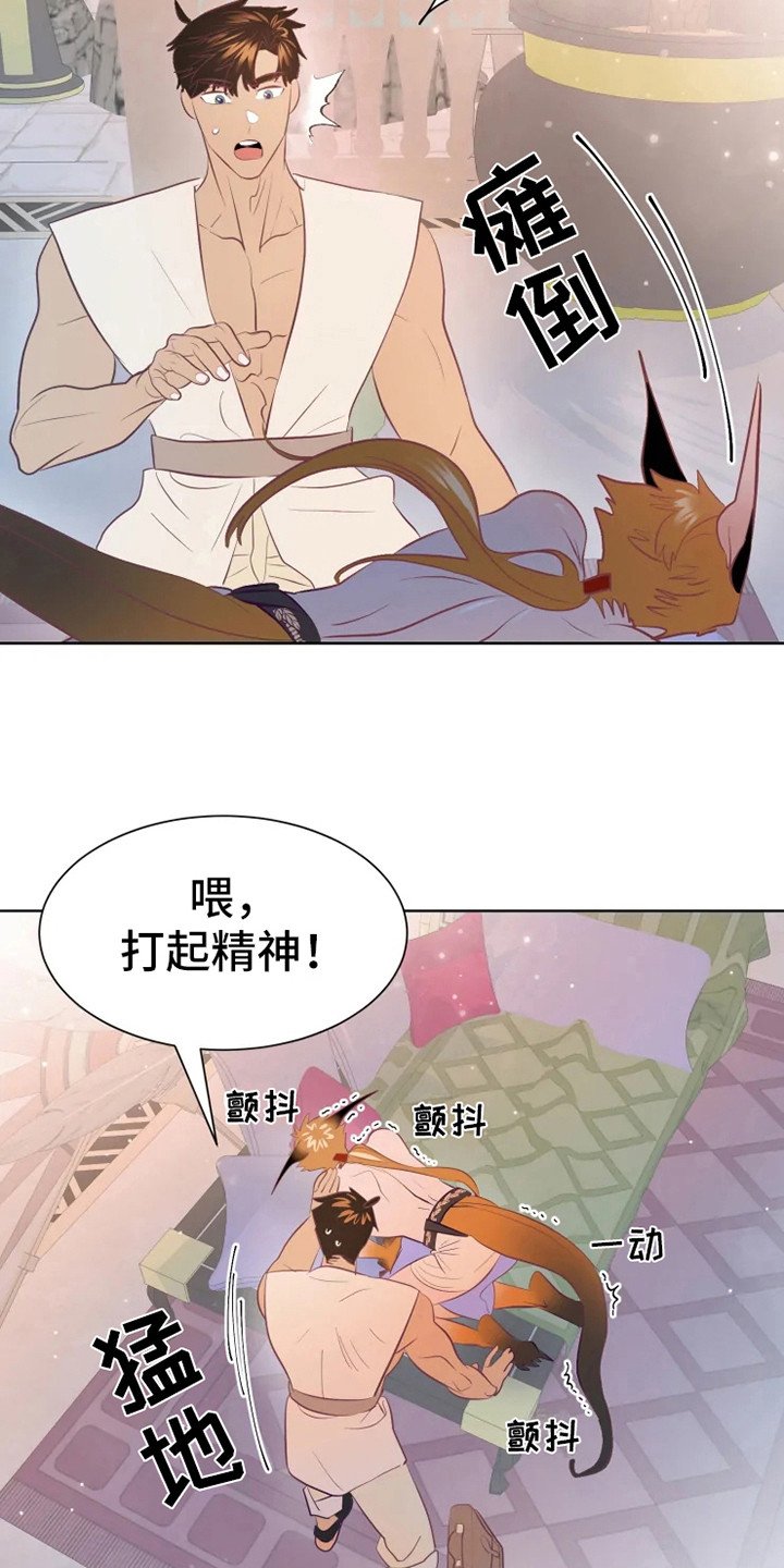 第16章：症状