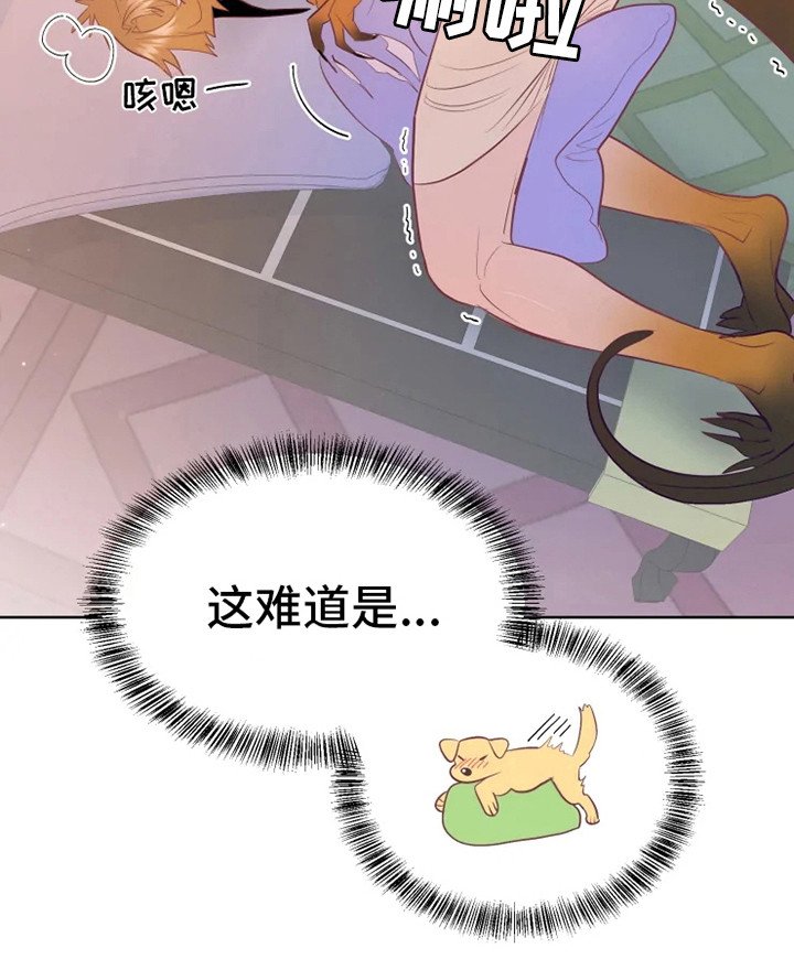 第16章：症状