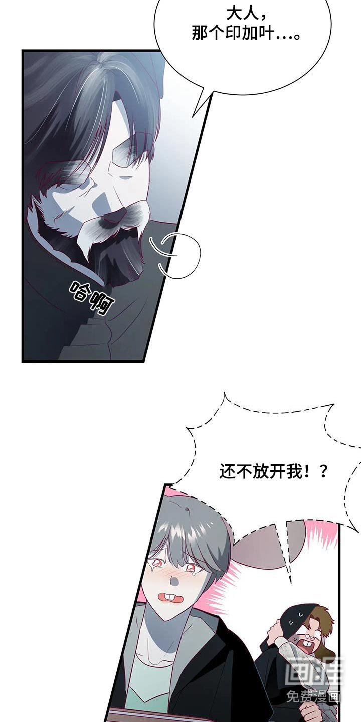 第163章：【番外】犯法