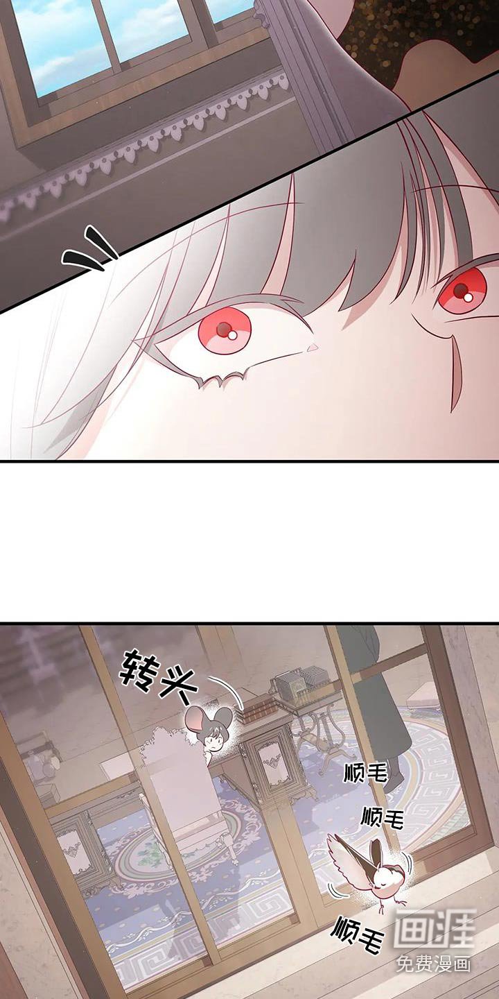 第164章：【番外】有事宣布