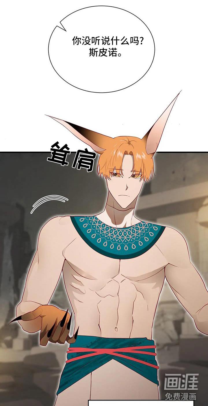 第164章：【番外】有事宣布