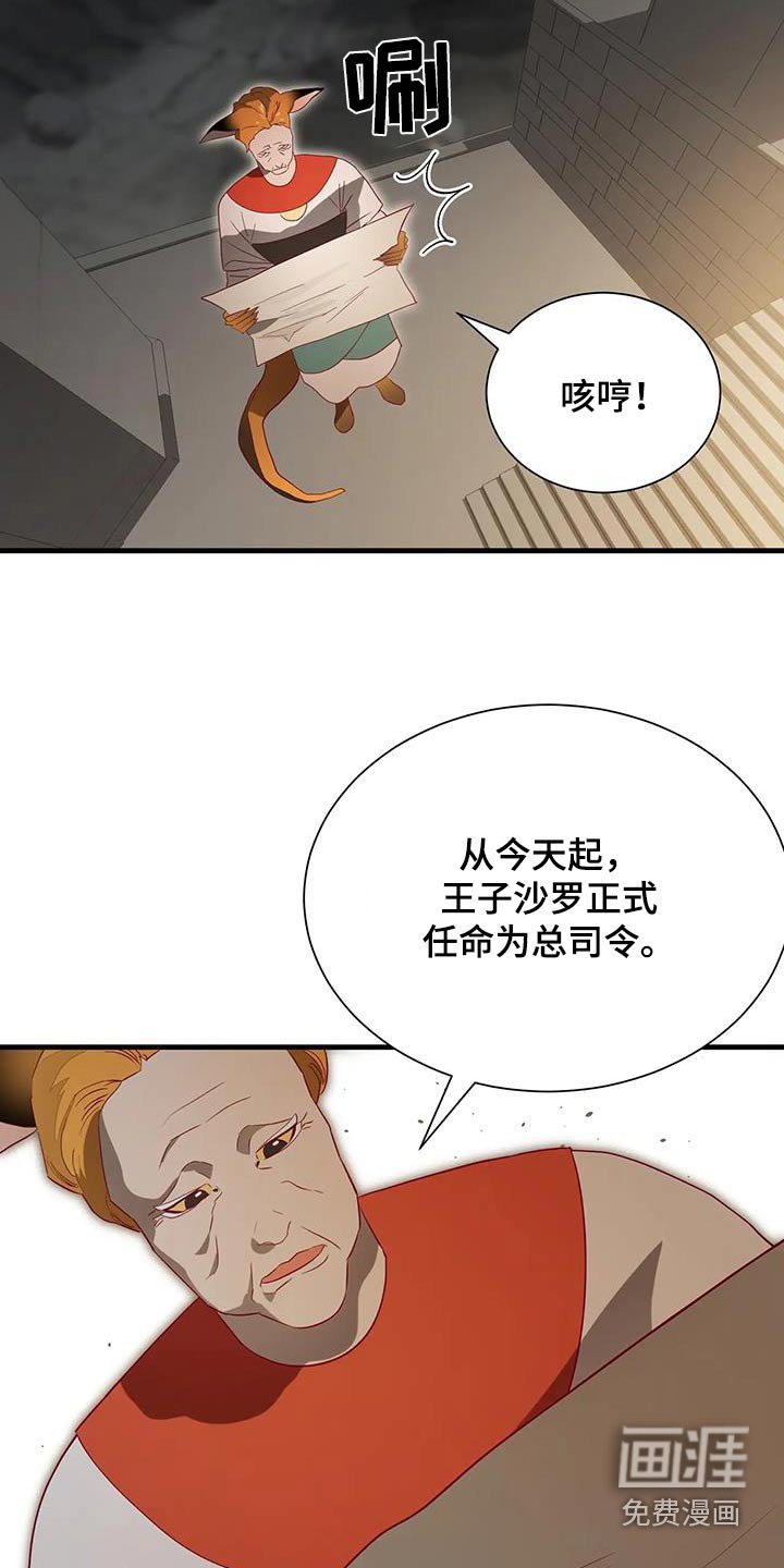 第165章：【番外】总司令