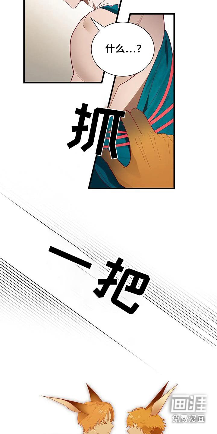 第165章：【番外】总司令