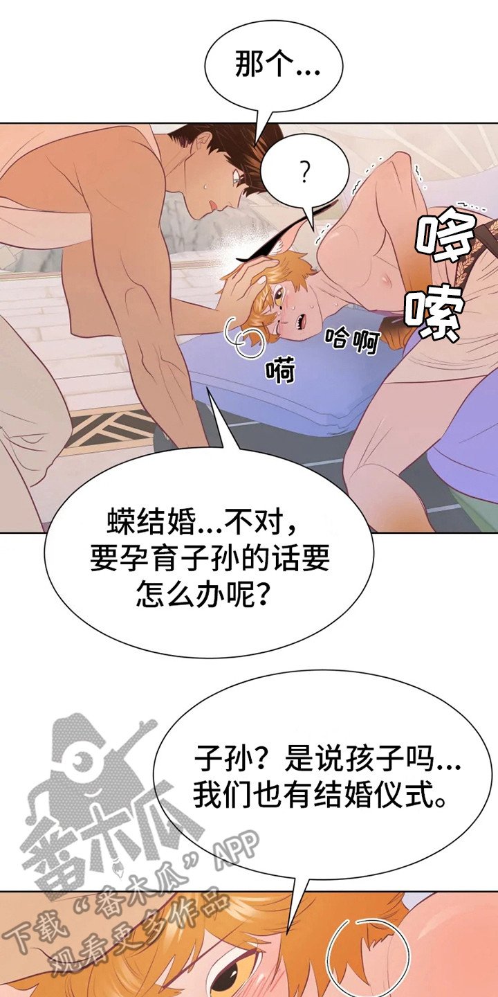 第17章：帮忙