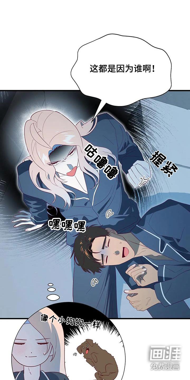 第172章：【番外】最幸福的人