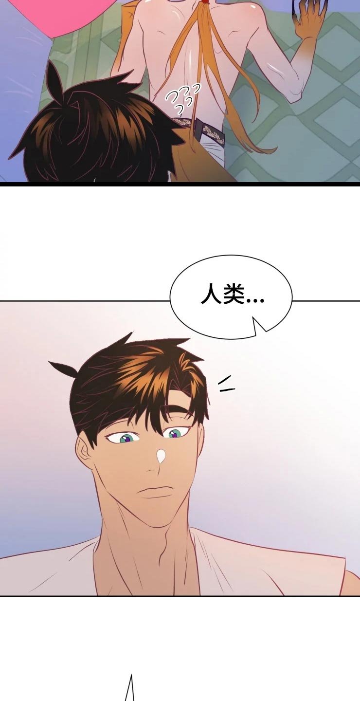 第19章：最好的治疗师