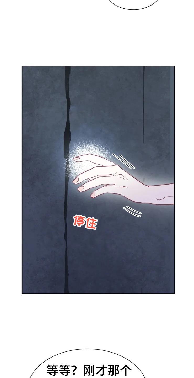 第19章：最好的治疗师