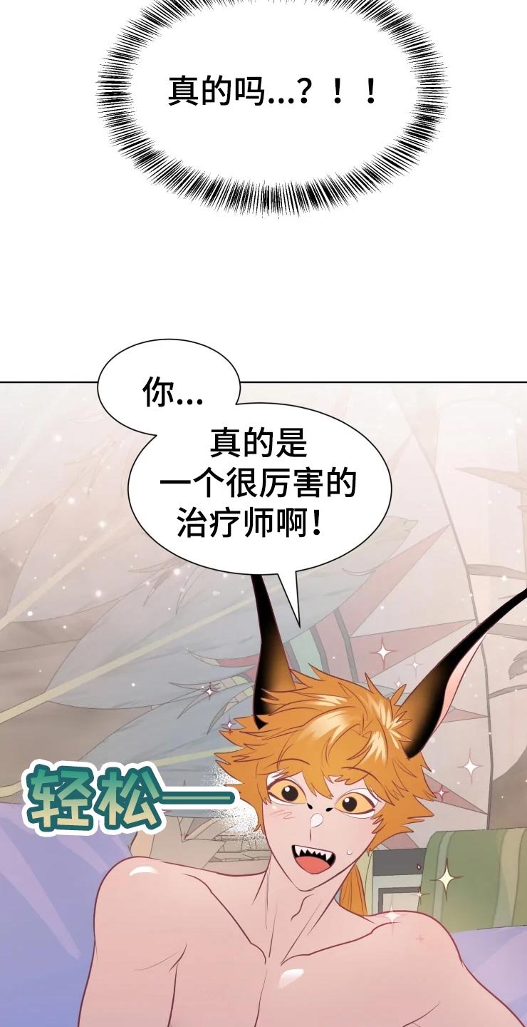 第19章：最好的治疗师