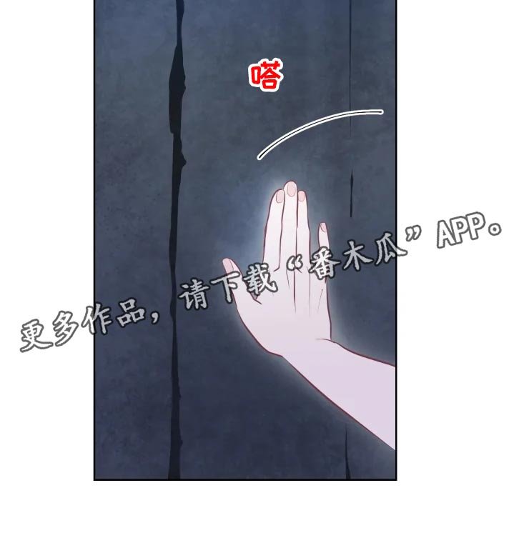 第19章：最好的治疗师