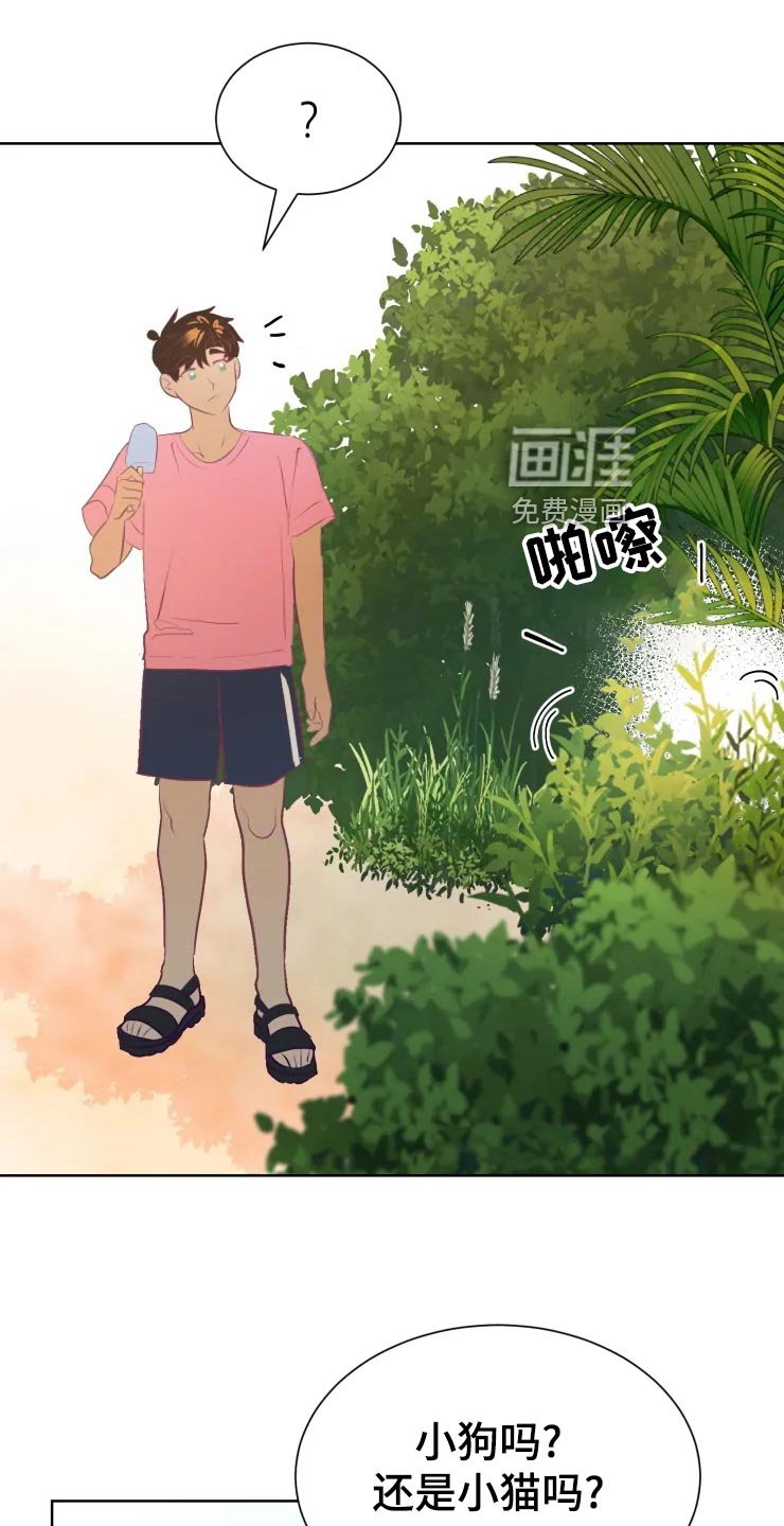 第28章：初恋