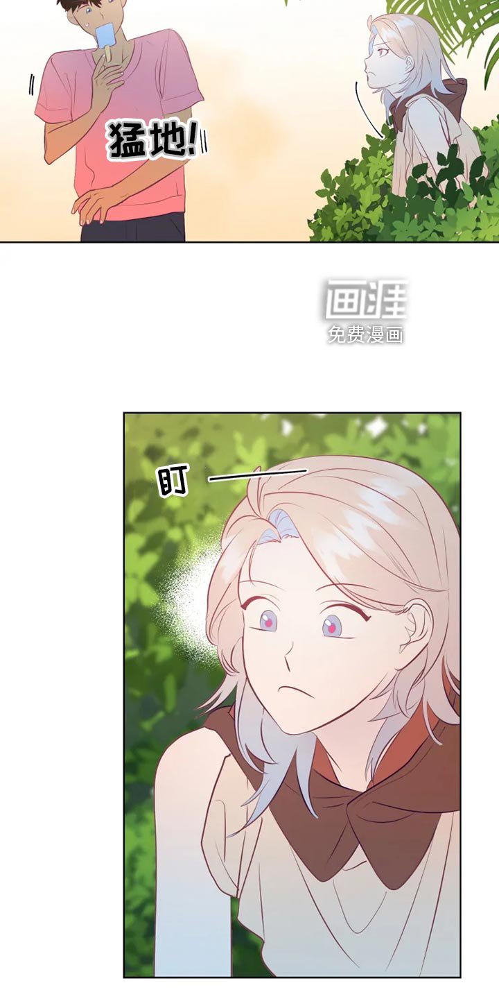 第29章：秘密基地
