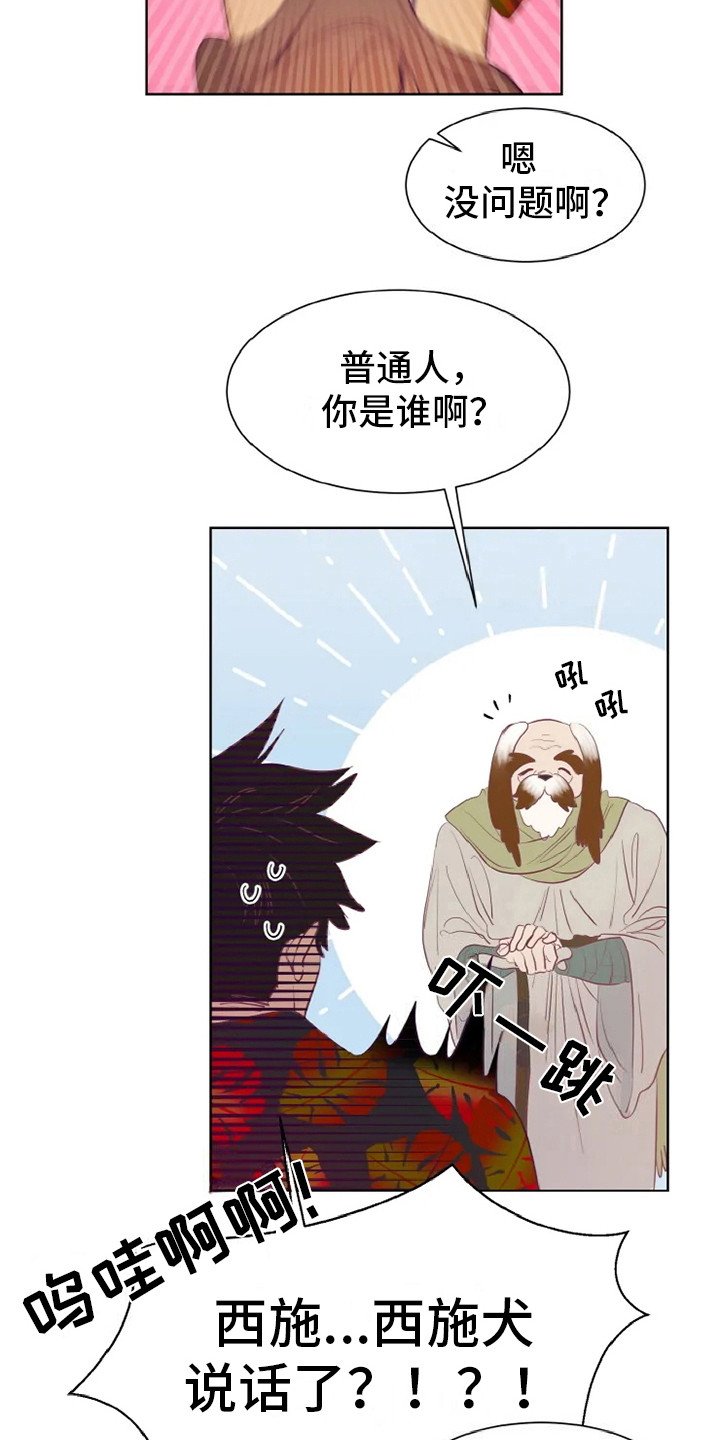 第3章：兽人