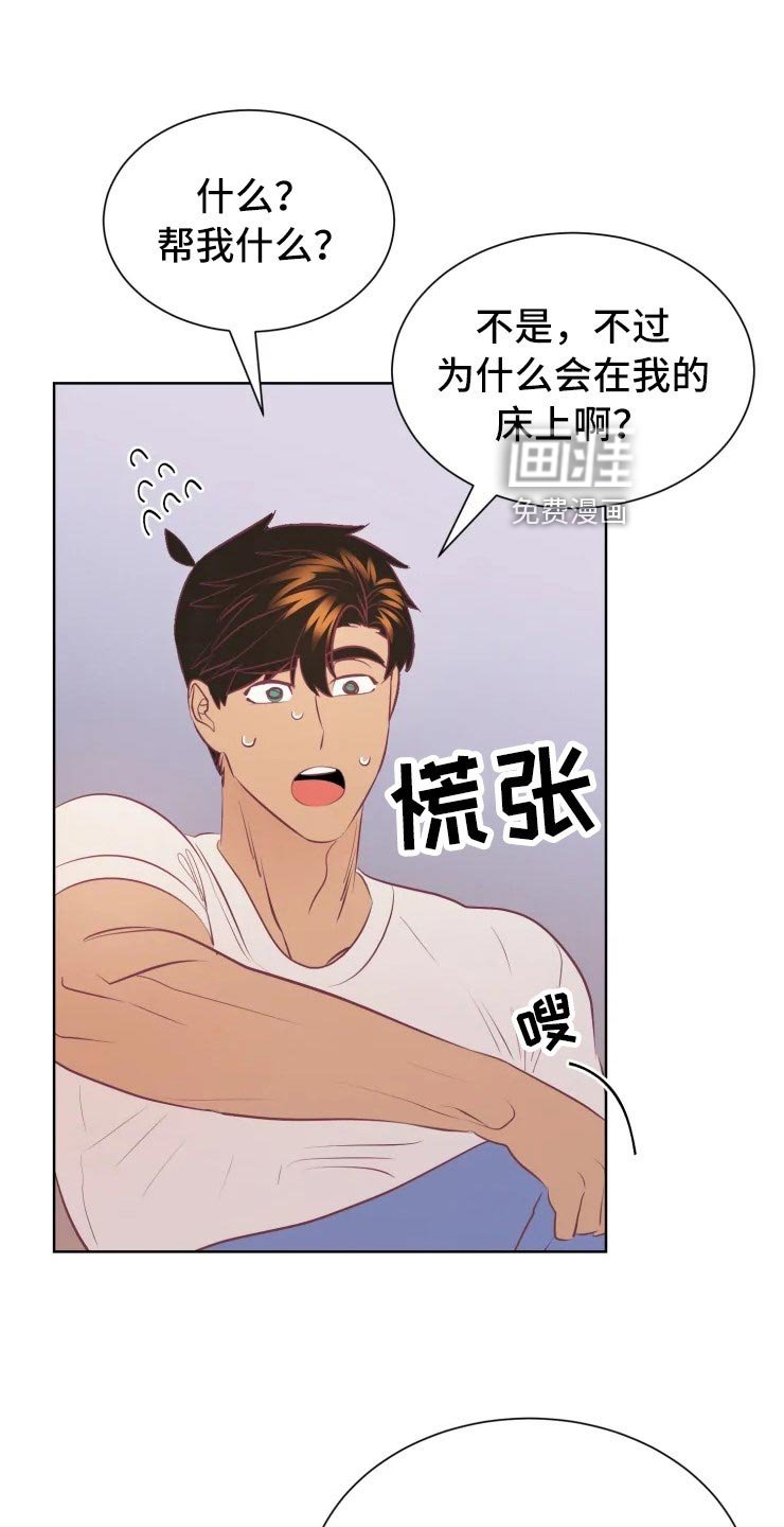 第31章：王国记录