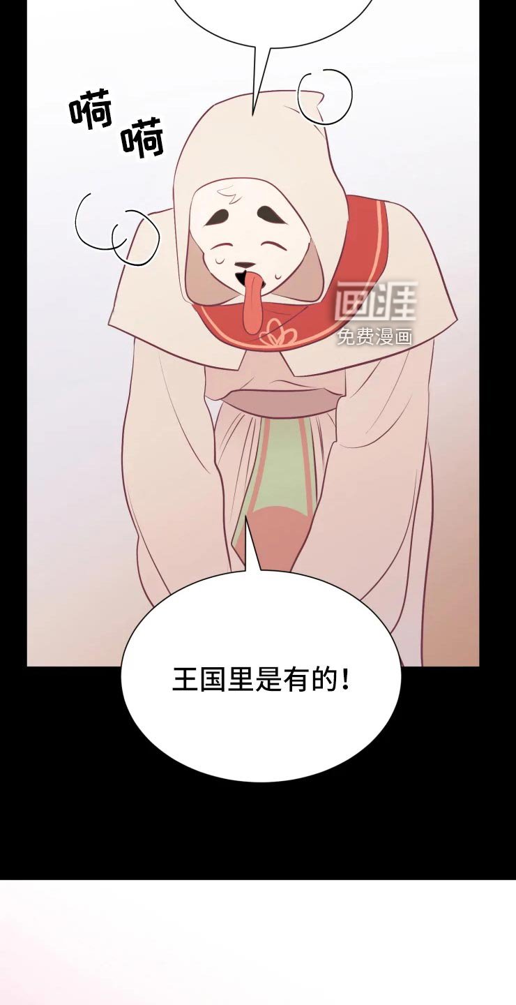 第31章：王国记录