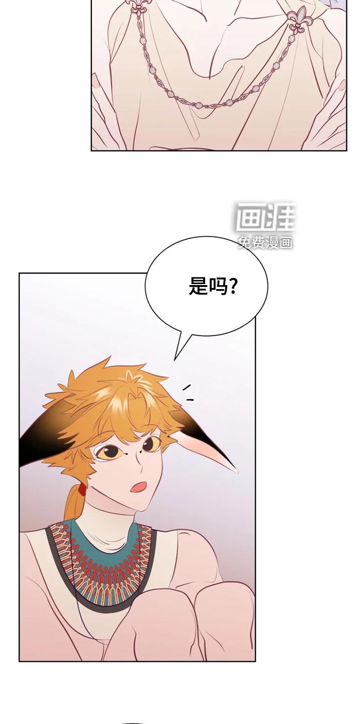 第33章：受伤