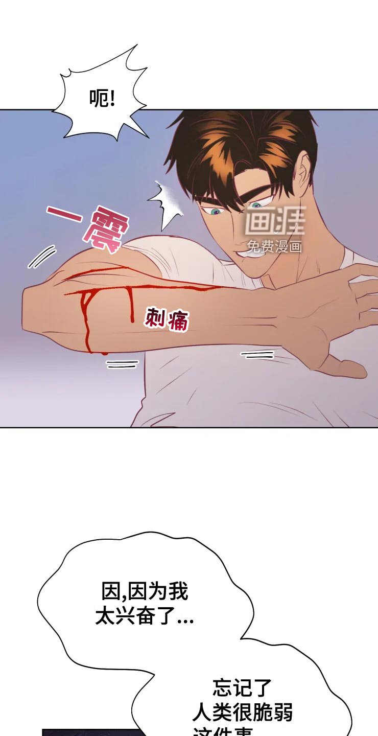 第34章：王国庆典