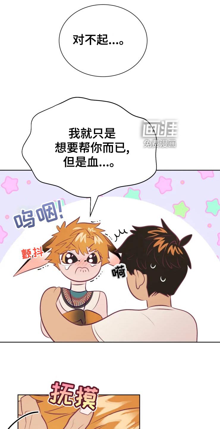 第34章：王国庆典