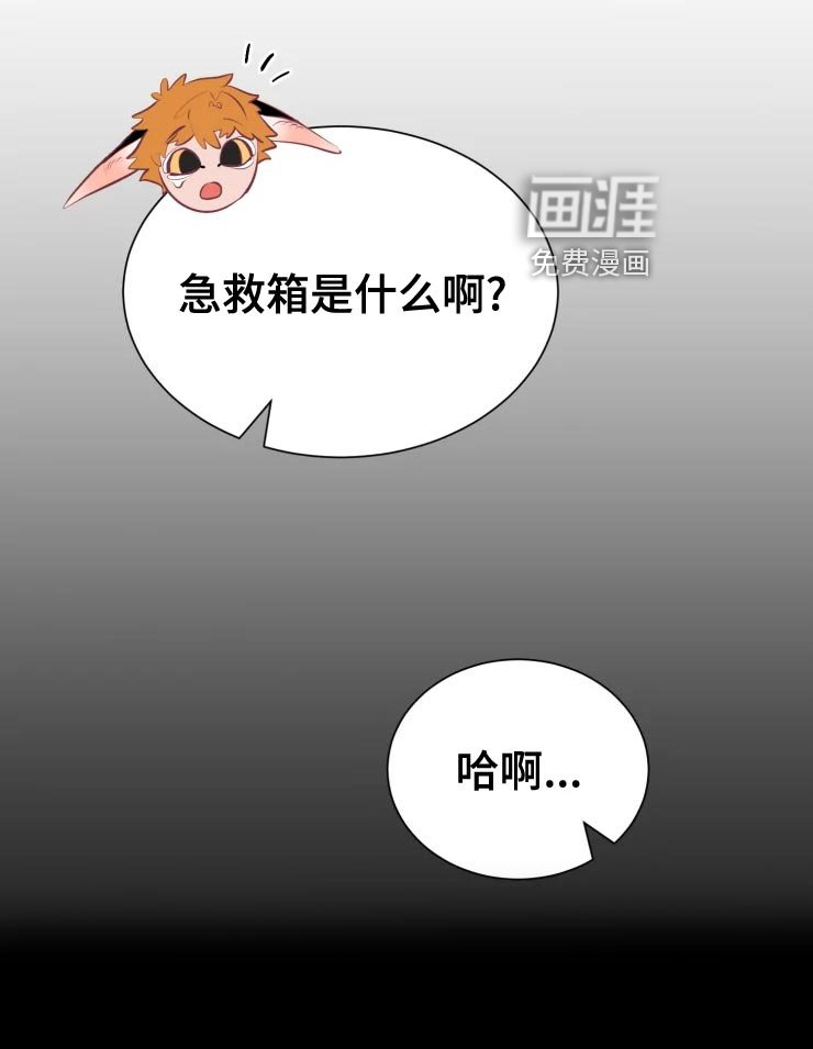 第34章：王国庆典