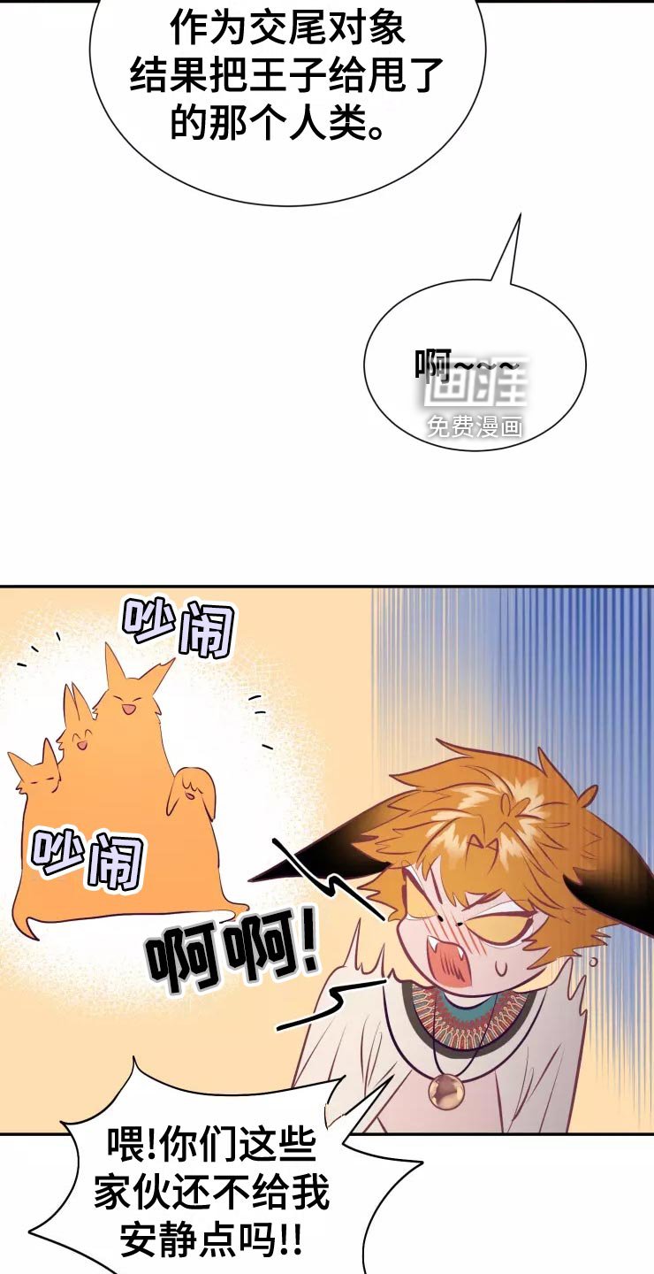 第36章：庆典当天