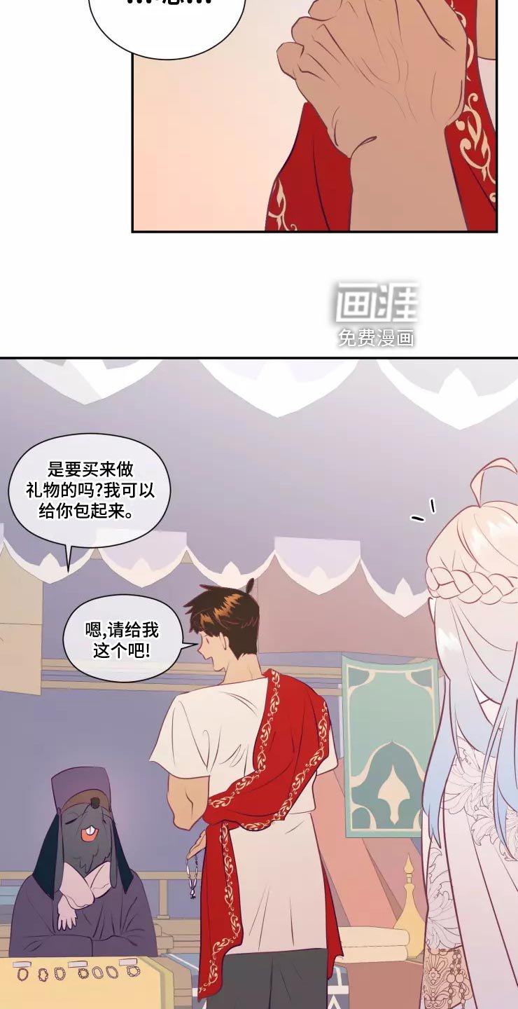 第37章：精灵族