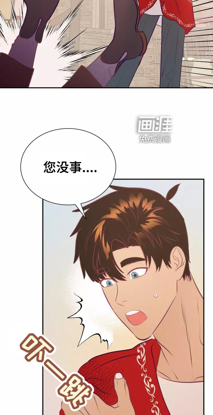 第37章：精灵族