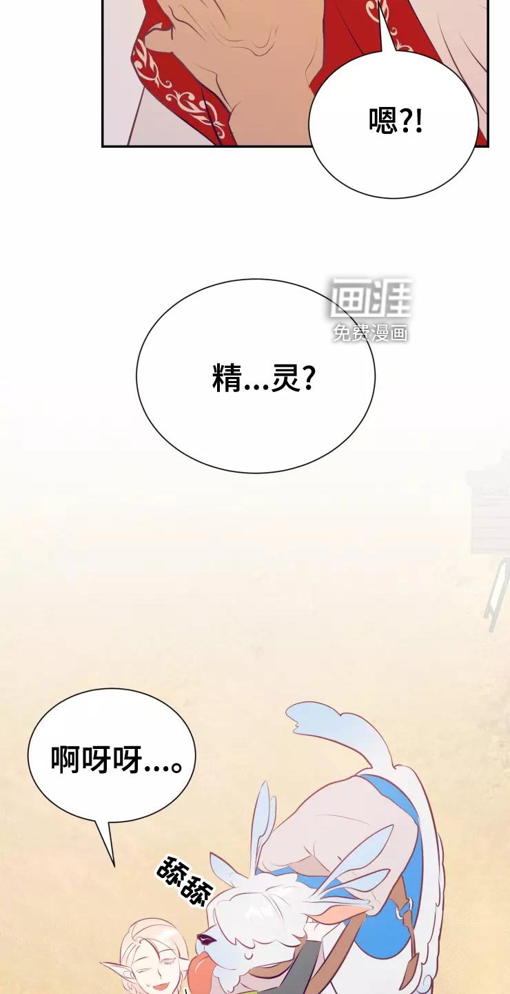 第37章：精灵族