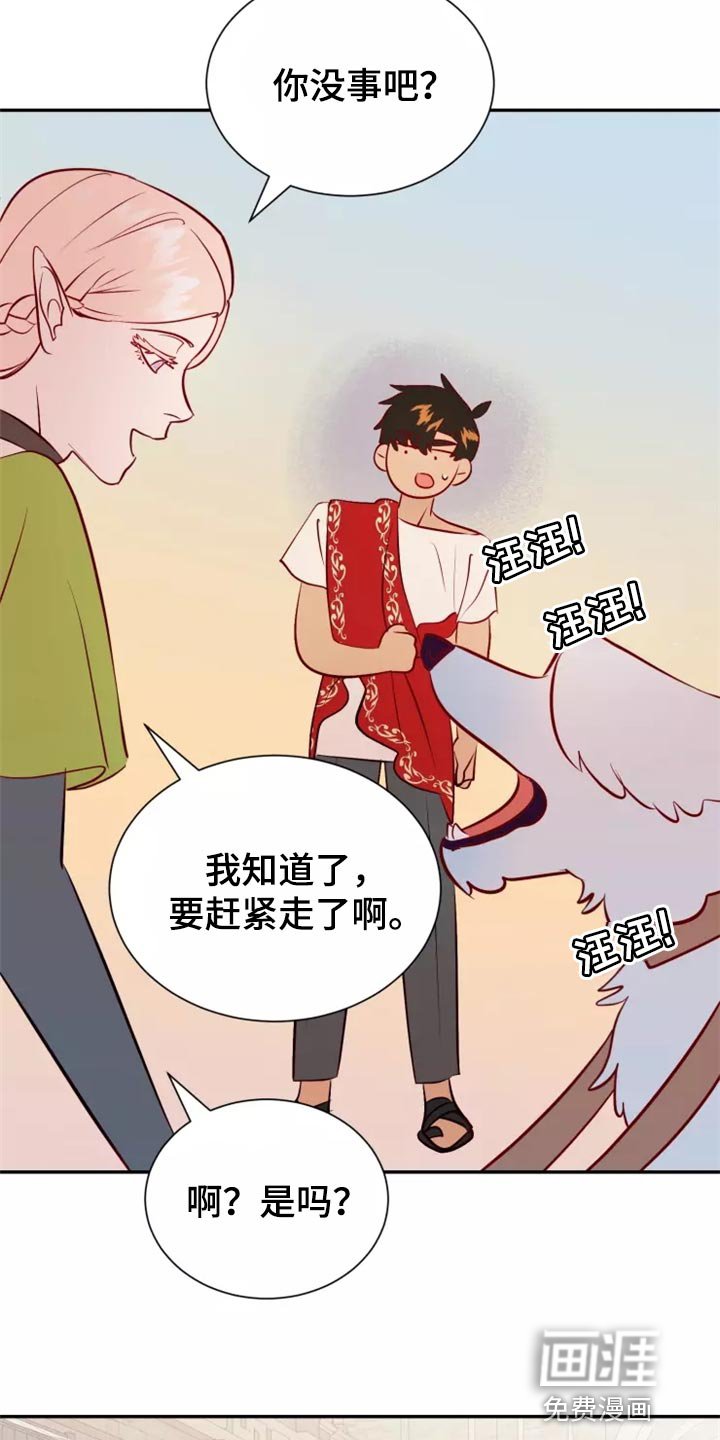 第38章：药品