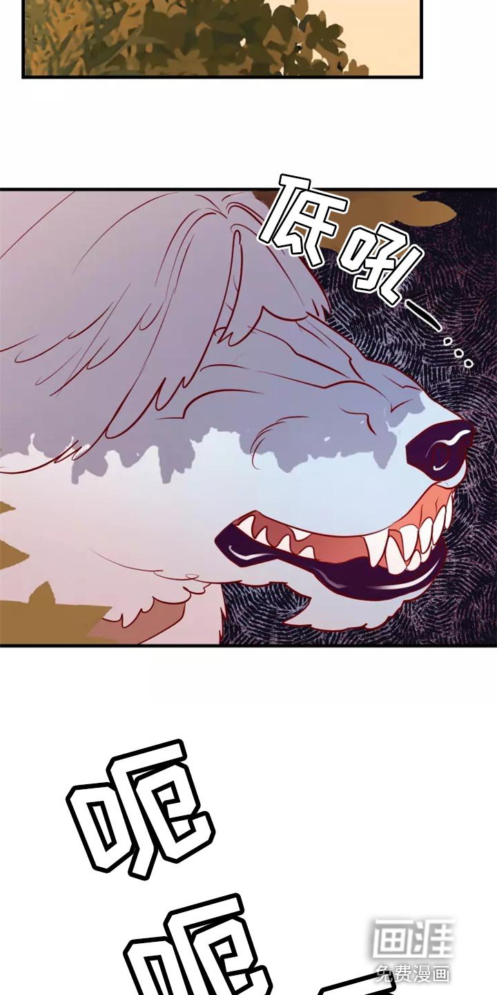 第40章：触手