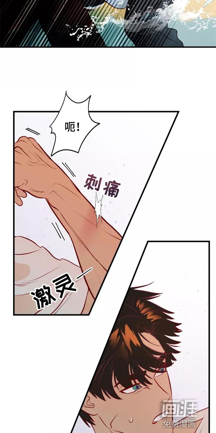 第41章：碍手碍脚
