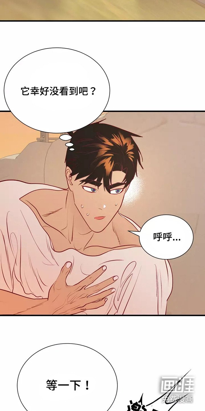 第46章：看不见
