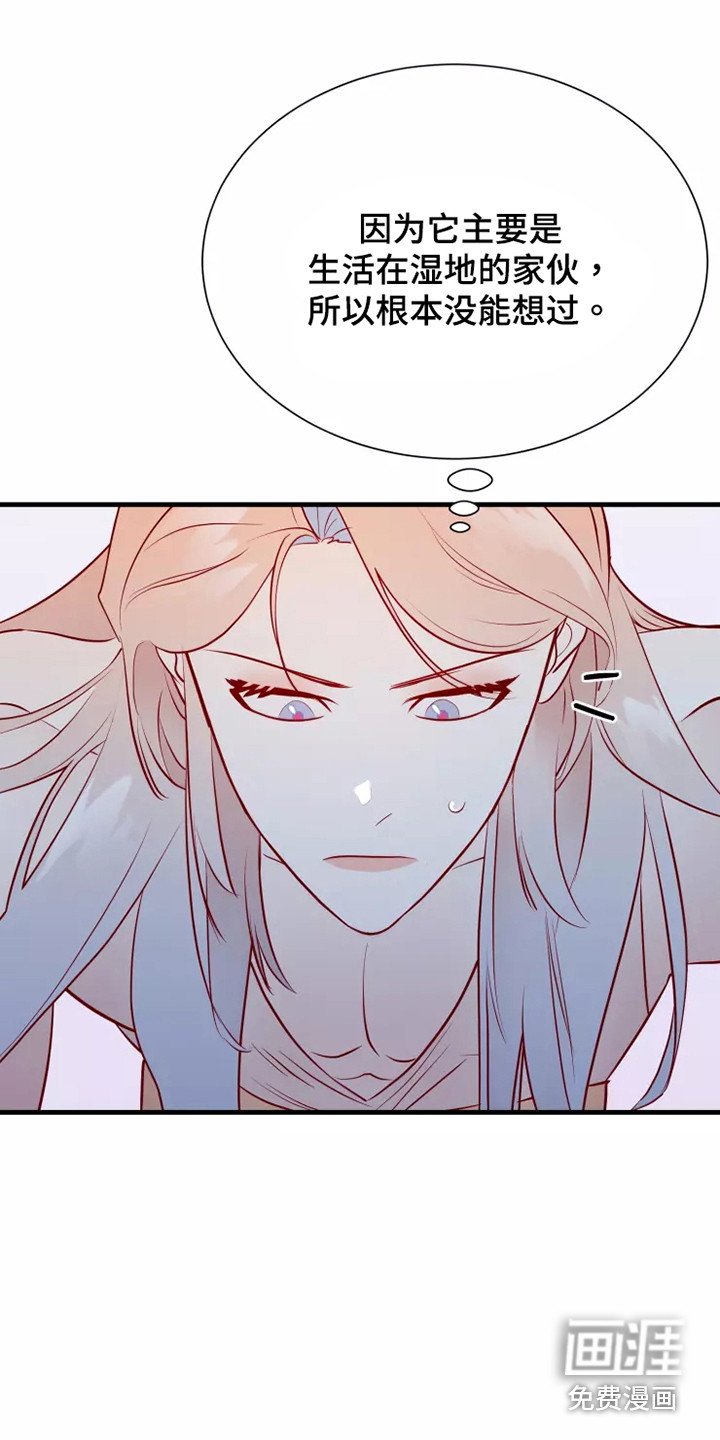 第47章：快跑