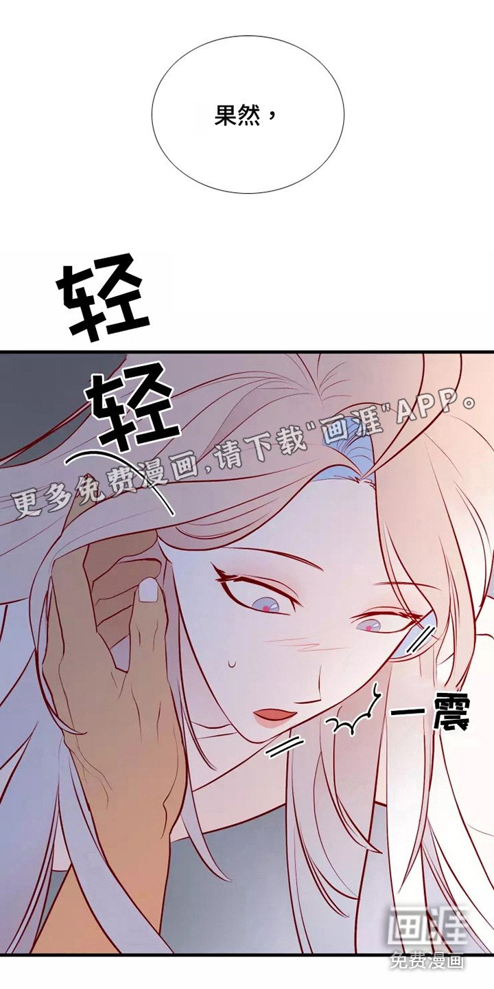 第51章：不是偶然