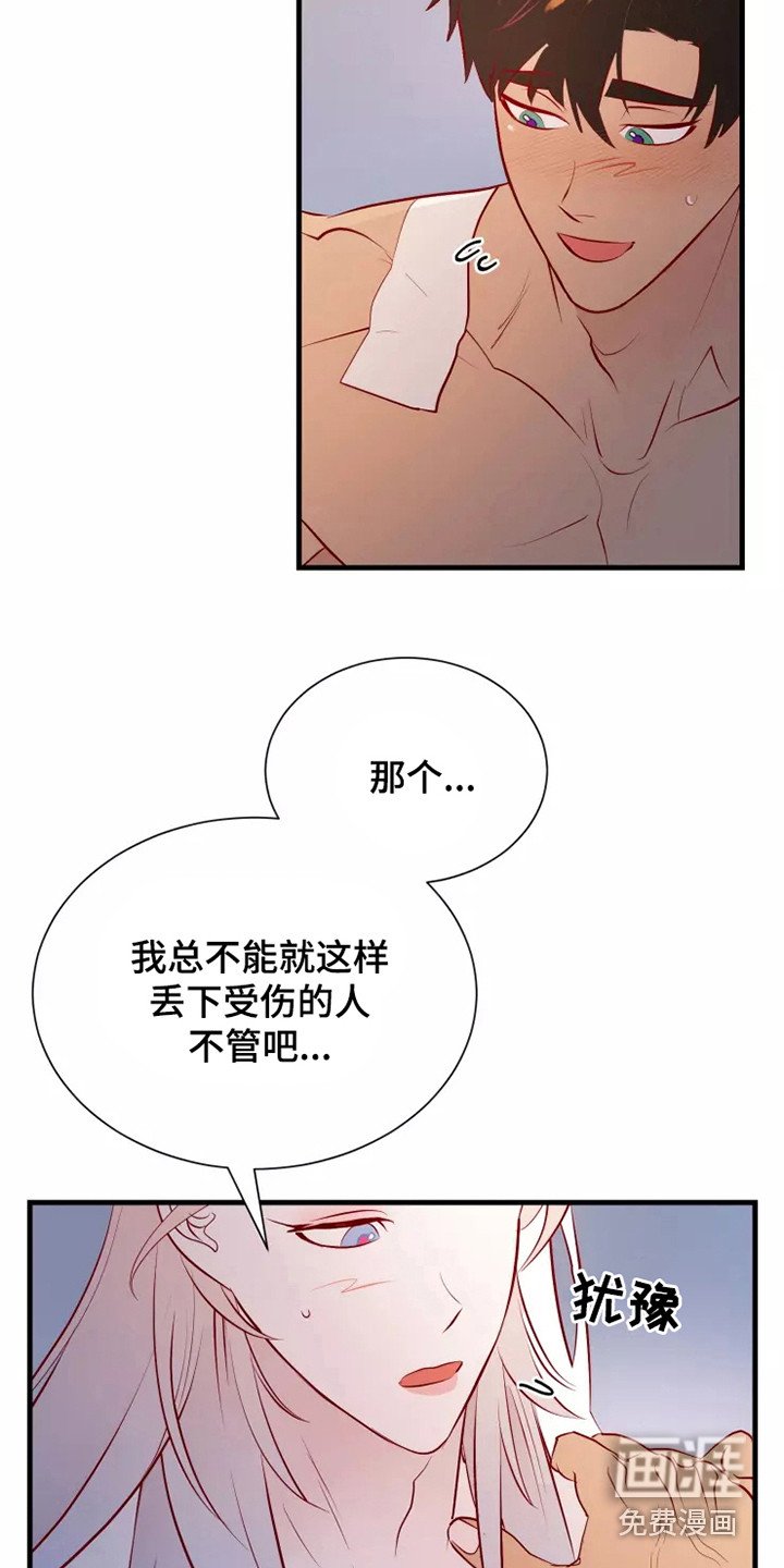 第51章：不是偶然